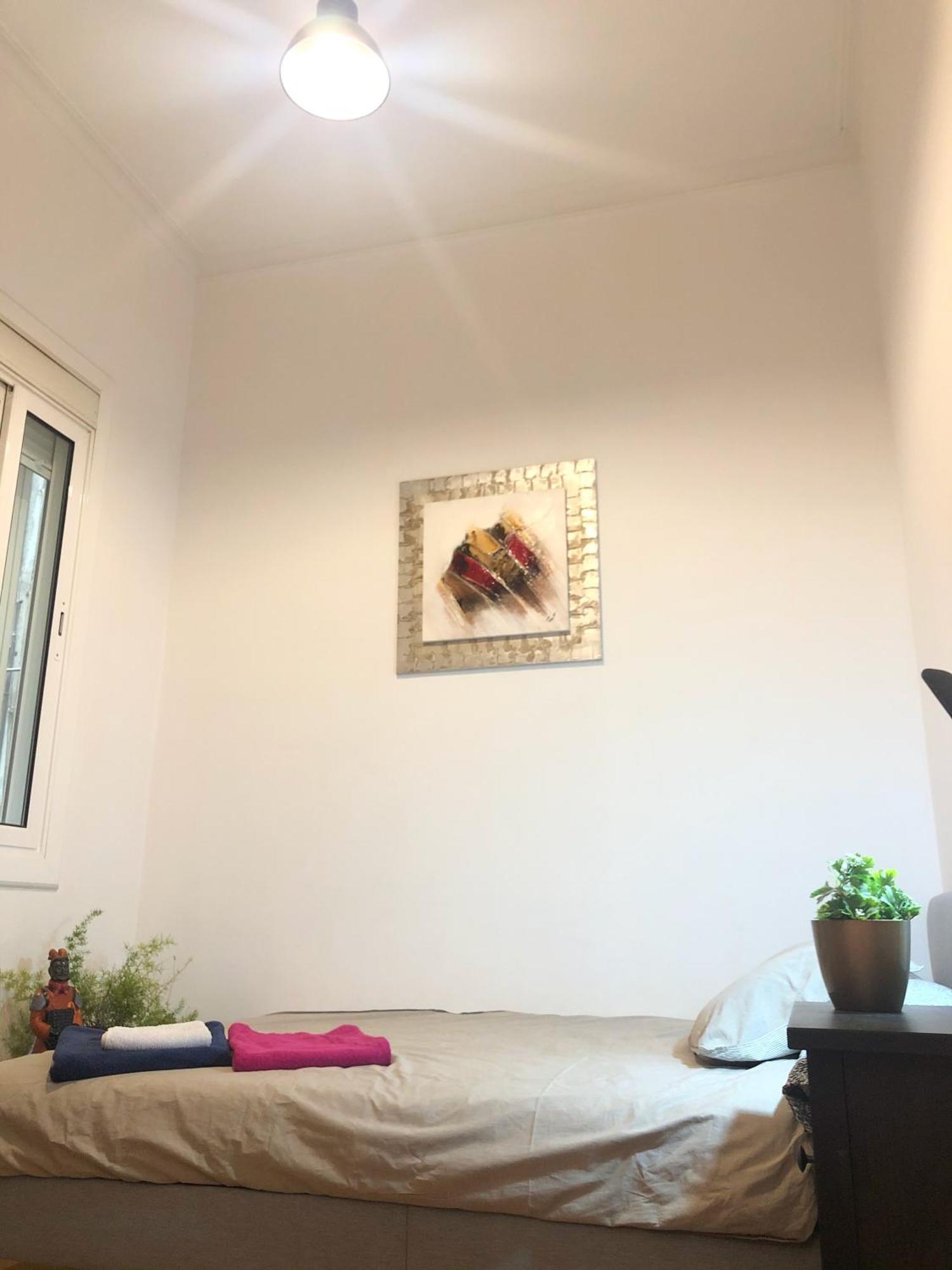 Eixample Modernista Apartment バルセロナ エクステリア 写真